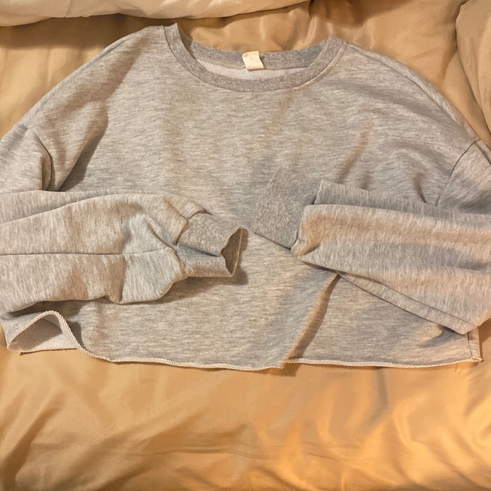 Grey crop top sweat shirt